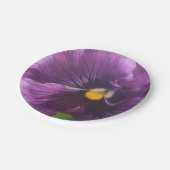 Mechtfeld Pappteller (Schrägansicht)