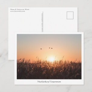 Mecklenburg-Vorpommern Postcard Postkarte