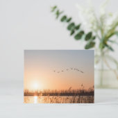 Mecklenburg-Vorpommern Postkarte (Stehend Vorderseite)