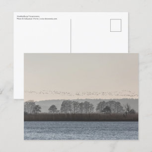Mecklenburg-Vorpommern Postkarte