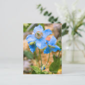 Meconopsis betonicifolia [Postcard] ポストカード Postkarte (Stehend Vorderseite)
