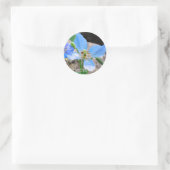 Meconopsis betonicifolia Round Siegel ラ ウ ル シ ド Runder Aufkleber (Tasche)