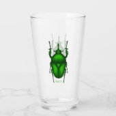 Mecynorhina torquata bug cartoon illustration glas (Rückseite)