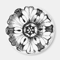 Medallion der Vintagen modernen Blume