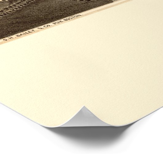 Medford, MA Panoramic Map - 1880 Poster (Ecke)