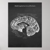 Medial Sagittal Section of the Brain Print No. 2 Poster (Vorne)