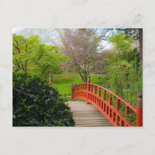 Mediation der Roten Brücke Postkarte