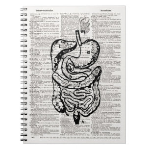 Medical Illustration Dictionary Art Notizblock