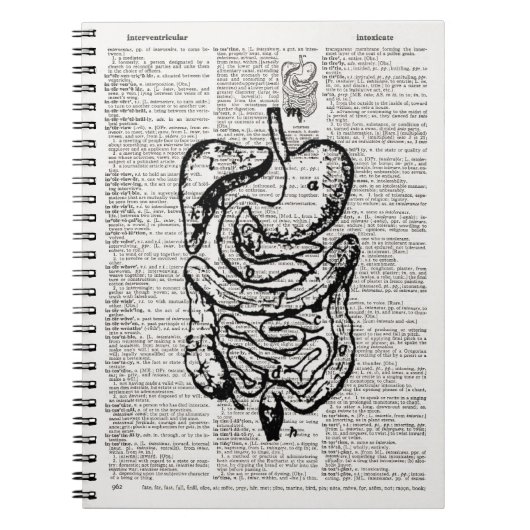 Medical Illustration Dictionary Art Notizblock (Vorderseite)