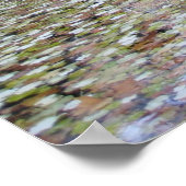 Medici Funtain Poster (Ecke)