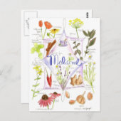 Medicinal Herb Echinacea Knolic Poppy Postkarte (Vorne/Hinten)