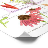 Medicinal Herb Knolic Echinacea Ginger Poster (Ecke)