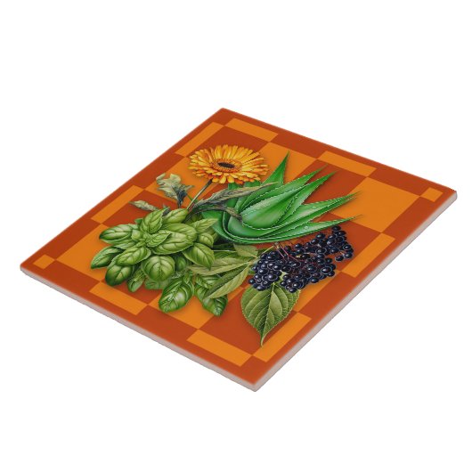 Medicinal Herbs Kitchen Accent Tile Fliese (Seite)