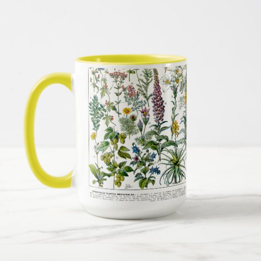 Medicinal Plants & Flowers by Adolphe Millot Tasse (Links)