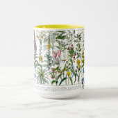 Medicinal Plants & Flowers by Adolphe Millot Tasse (Zentrum)