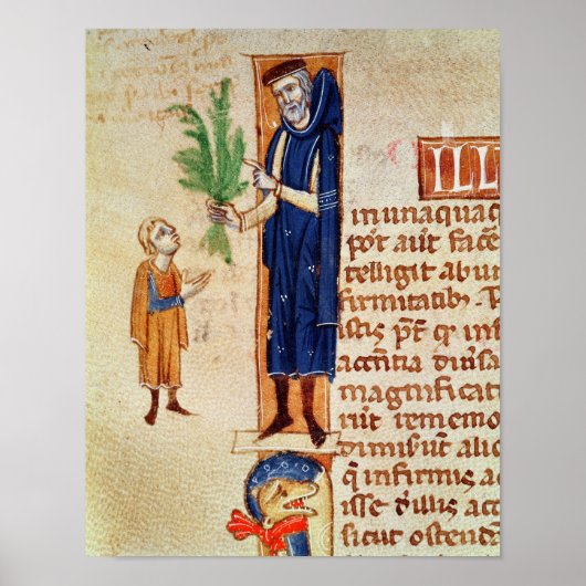 Medicinal Plants Poster (Vorne)