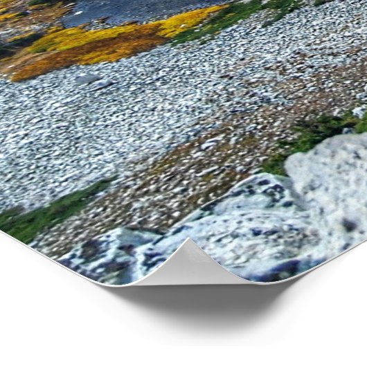 Medicine Bow National Forest Poster (Ecke)