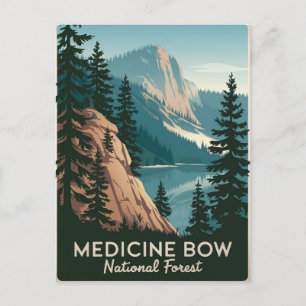 Medicine Bow National Forest Vintage Postkarte