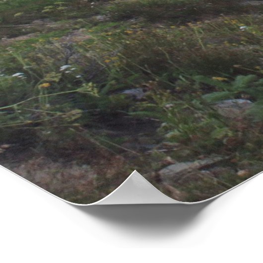 Medicine Bow Peak Landschaftlich Poster (Ecke)