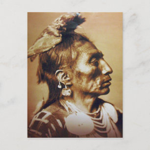 Medicine Crow Apsaroke Native Amerikanische Ureinw Postkarte