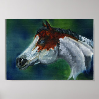 Medicine Hat Pinto Pferd Poster