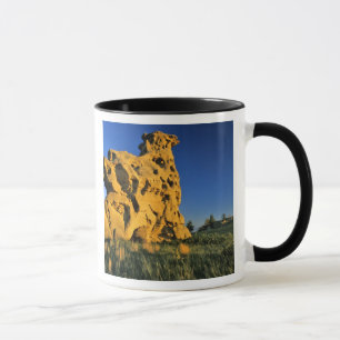 Medicine Rocks State Park bei Ekalaka Montana Tasse