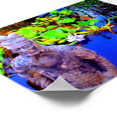 Medikationspatster Poster (Ecke)