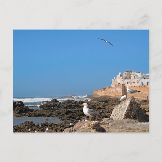 Medina von Essaouira und Atlantikküste Postkarte (Vorderseite)