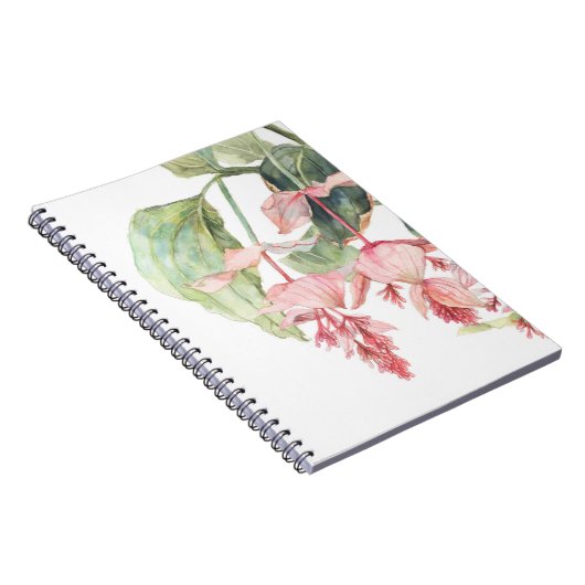 Medinilla Watercolor Illustration Notebook Notizblock (Rechte Seite)