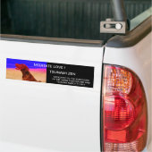 MEDITATE LIEBE ! TSUNAMI ZEN AUTOAUFKLEBER (Auf Lkw)