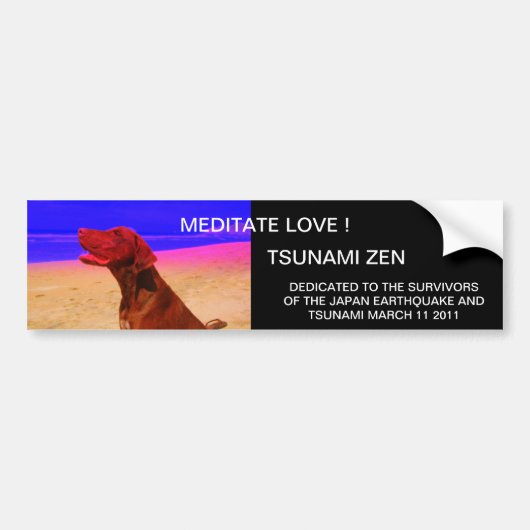 MEDITATE LIEBE ! TSUNAMI ZEN AUTOAUFKLEBER (Vorne)