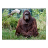 Meditation (Vorderseite (Horizontal))