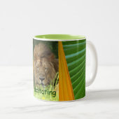 Meditation der Tasse (VorderseiteRechts)