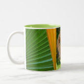 Meditation der Tasse (Links)