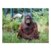 Meditation Fotodruck (Vorne)