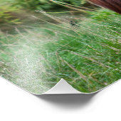 Meditation Fotodruck (Ecke)