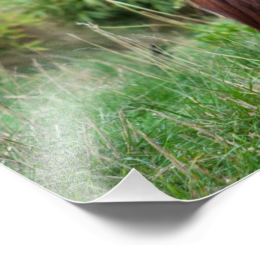 Meditation Fotodruck (Ecke)