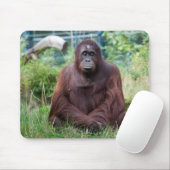 Meditation Mousepad (Mit Mouse)