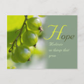 Meditation über Dinge, die wachsen CC0330 Postkarte (Vorderseite)