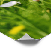 Meditation über Wiesen Poster (Ecke)