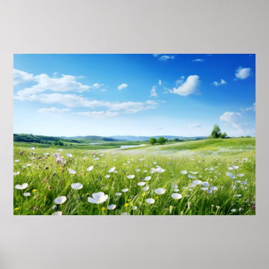 Meditation über Wiesen Poster (Vorne)