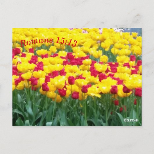 Meditationskarte Schrift Römer 15:13 Postkarte (Rückseite)