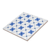 Mediterran, Amalfi-Stil, einfache Plätze     Fliese (Seite)