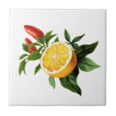 mediterrane Fliesen, Majolika, sizilianischer Stil Fliese (Vorderseite)