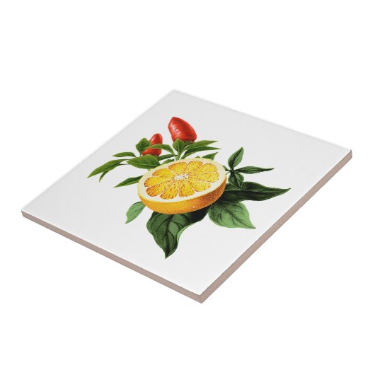 mediterrane Fliesen, Majolika, sizilianischer Stil Fliese (Seite)