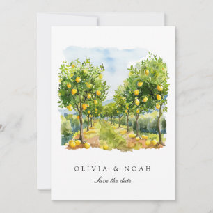 Mediterrane Limone Save the Date Hochzeitskarte Ankündigung