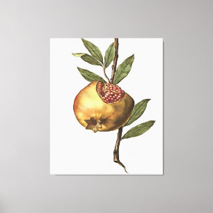 Mediterranean Pomegranate Fruit And Seeds Leinwanddruck