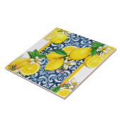 Mediterranean Traditional Pattern Fliese (Seite)