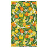 Mediterranean Watercolor Citrus Lemons & Oranges P Kleine Geschenktüte (Rückseite)