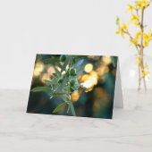 Mediterranes Gold; Oliven auf der Baumzweigung Karte (Gelbe Blume)
